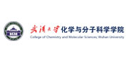武汉大学化学与分子科学学院